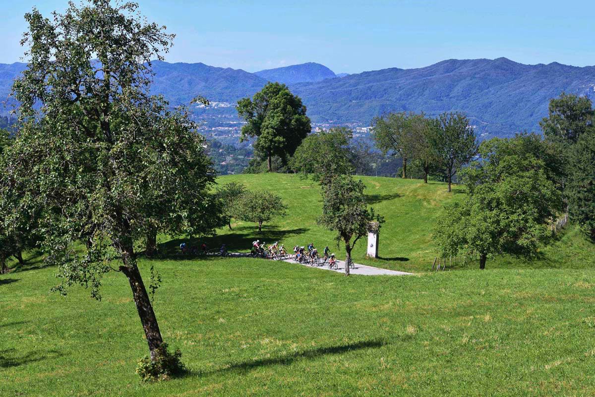 mtb_falo_mottarone_037b