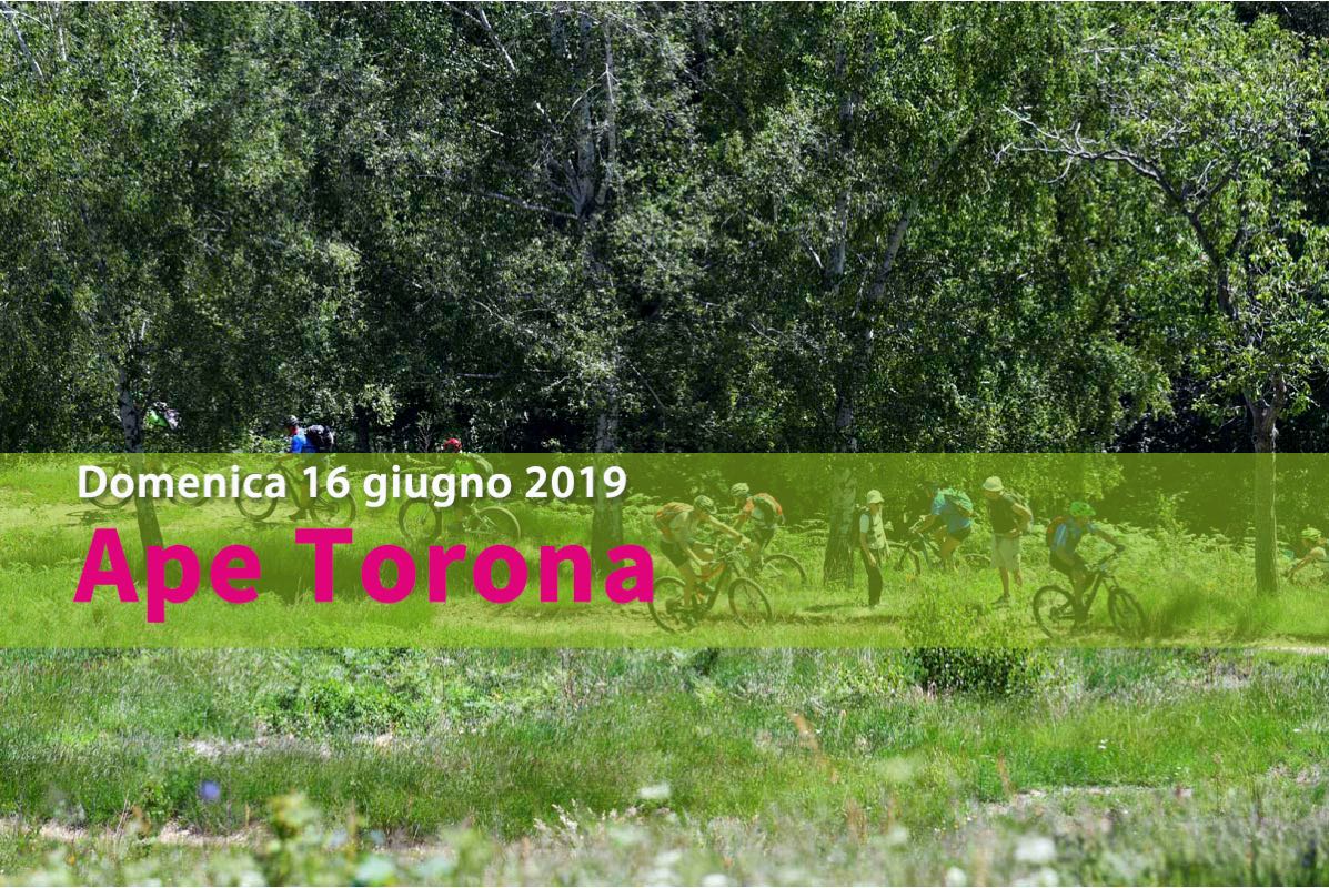 mtb_falo_mottarone_057a