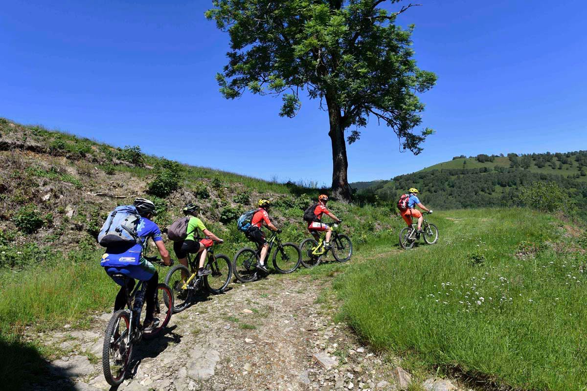 mtb_falo_mottarone_066