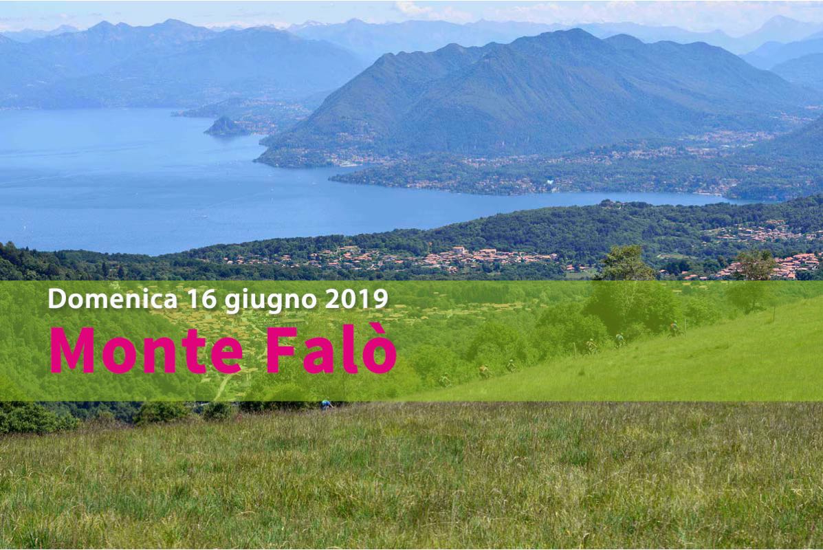 mtb_falo_mottarone_082a
